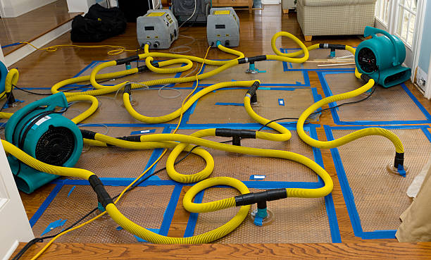 Professional Basement Flood Cleanup technician working in Seltzer, PA